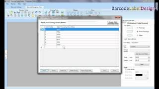 How to generate multiple barcode labels using Batch Processing Series and Excel file feature