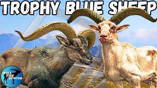 Hunting A Huge Albino Blue Sheep + A Diamond On Sundarpatan! TheHunter Call Of The Wild