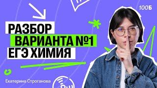 САМЫЙ ПОДРОБНЫЙ РАЗБОР Варианта №1 из сборника Добротина | ЕГЭ по химии 2025 | Катя Строганова