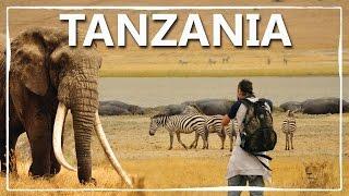 Viaggio Fai Da Te In Tanzania  Vlog