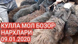 АНДИЖОН КУЛЛА МОЛ БОЗОР НАРХЛАРИ 09.01.2020