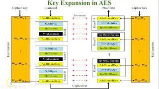 Key Expansion in AES | Round Constant and g function in Key Expansion in AES