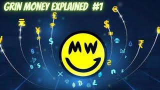 Grin Money Explained No. 1 - Myths around Mimblewimble and Grin Unlocked