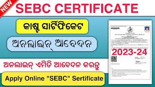 How To Apply SEBC Certificate in Online//Caste Certificate Apply in Online Odisha