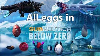 All creature eggs in Subnautica Below zero + hatching