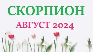 СКОРПИОН АВГУСТ 2024  Прогноз на месяц таро расклад Все знаки зодиака! 12 домов гороскопа!