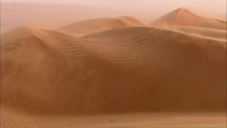 Sand, Wind and Camel