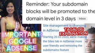 GOOGLE ADSENSE SITE MANAGEMENT IN ADSENSE IS CHANGING REMINDER SUBDOMAIN BLOCKS TO THE DOMAIN 3 DAYS