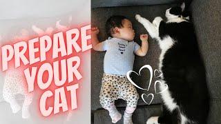 How to Prepare Your Cat for Your New Baby's Arrival (7 SIMPLE Steps) │First-Time Mom│ Paulene Nistal