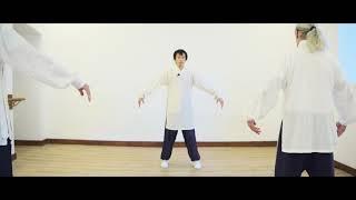 Authentic Wudang Wu Xing (Five Animals) Qi Gong