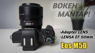 Canon EOS M50+Lensa FIX 50mm | Hasil BOKEH Mantap!  Kamera Mirrorless