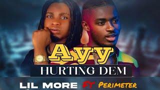 Ayy Hurting Dem - Lil More ft Perimeter (visualizer)