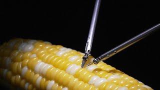 Microsurgery Assistance Robot Stitching a Corn Kernel | Sony Group