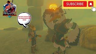 THE BLOCKED WELL  LEGEND OF ZELDA TEARS OF THE KINGDOM