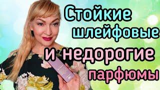 ШЛЕЙФОВЫЕ СТОЙКИЕ И ОЧЕНЬ БЮДЖЕТНЫЕ ПАРФЮМЫ| АРОМАТЫ ЗАРА #парфюм #духи #ароматы #рекомендации