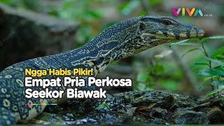 KACAU! Empat Pria Nekat Perkosa Biawak di Cagar Alam