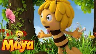 Пчела Майя: Сюрприз ко дню рождения мультик-игра