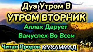 Дуа утром во вторник на Удачу.ВЫ ПОЛУЧИТЕ МНОГО ДЕНЕГ И НЕОГРАНИЧЕННОЕ БОГАТСТВО.ИншаАллах.