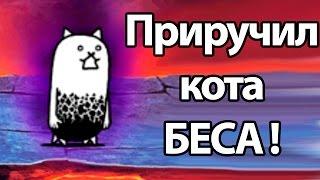 Приручил кота БЕСА ! ( Battle Cats )