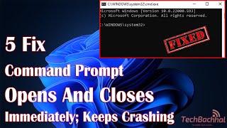 Command Prompt opens and closes immediately Keeps crashing