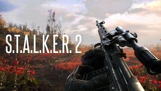 What You NEED To Know Before STALKER 2