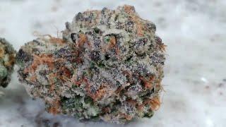 UPNORTH - White Widow - Illinois Cannabis Review