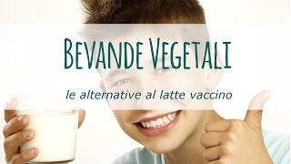 Alternative al latte vaccino: le bevande vegetali