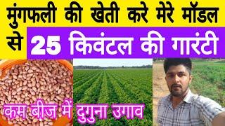 मुंगफली में इस तकनीक से ज्यादा उगाव ज्यादा उत्पादन । बीज उपचार। खाद , groundnut farming ,