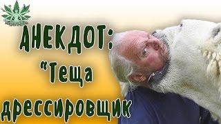 Самые лучшие анекдоты | ТЕЩА ДРЕССИРОВЩИК