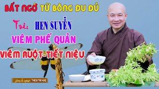 Trị Hen Suyễn, Viêm Phế Quản, Ho Khó Thở, U Phổi, Viêm Đường Tiểu, U Viêm Ruột, Trĩ - Chùa Pháp Tạng