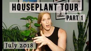 Houseplant Tour 2018  ||  Part 1  ||  Low Light Houseplants