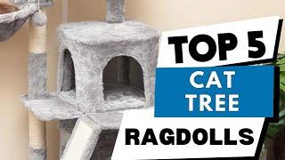 Top 5 Best Cat Tower(Tree) for Ragdolls | Best Cat Trees Affordable & Odorless With All Facilities.