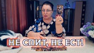 НЕ СПИТ, НЕ ЕСТ! ЕГО НАВЯЗЧИВАЯ МЫСЛЬ О ВАС НЕ ДАЕТ ПОКОЯ