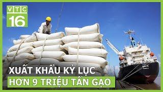 Xuất khẩu kỷ lục hơn 9 triệu tấn gạo | VTC16