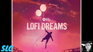 Cubase 11 Pro | VST Sounds | LoFi Dreams
