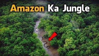 Most Dangerous Animals Of Amazon Rainforest | Strange Facts About Amazon Rainforest [Hindi/Urdu]