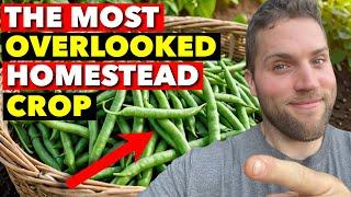 HOW TO GROW GREEN BEANS FROM SEED & GET A BOUNTIFUL HARVEST