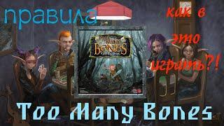 TOO MANY BONES [3] - начальная раскладка и правила настольной игры "Слишком много костей"