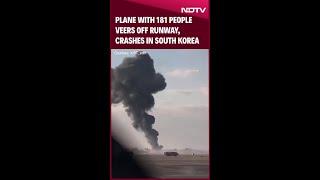 South Korea Plane Crash | Plane With 181 People Veers Off Runway, Crashes In South Korea, 28 Dead