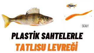 Fishup scaly ile amerikan levreği