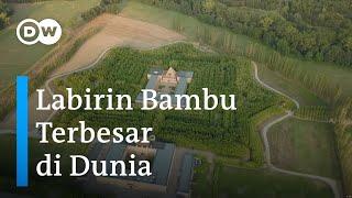 Labirin Bambu Masone Terbesar di Dunia Penuh Pesona yang Menyesatkan