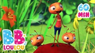 Les Fourmis Marchent + 60 min comptines et chansons éducatives | BB LouLou