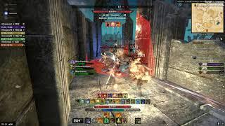 Elder Scrolls Online "Blackwood Bonk" StamDK 4v4v4  BG(11 kills 3 mil damage)