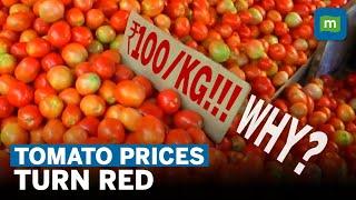 Tomatoes Sold At Rs 100/kg In Delhi & Bengaluru | Reasons Behind Tomato, Vegetable Price Hike