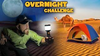 Overnight Survival Challenge In Desert (EXTREME)