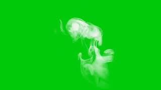 Green screen coffe smoke