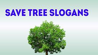 Save Trees Slogans in english Slogans On Save Trees Save tree quotes ! World of Essay Speech