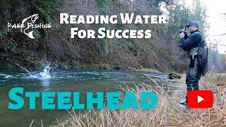 STEELHEAD - READING WATER FOR SUCCESS - Oregon Winter Steelhead Fishing success with floats & beads!