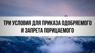 Три условия для приказа одобряемого и запрета порицаемого. Ринат Абу Мухаммад