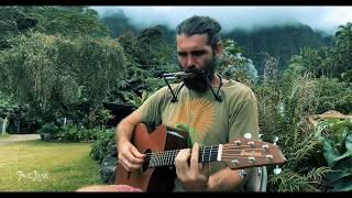 "Green Rows" by Paul Izak (Acoustic at Yogarden)